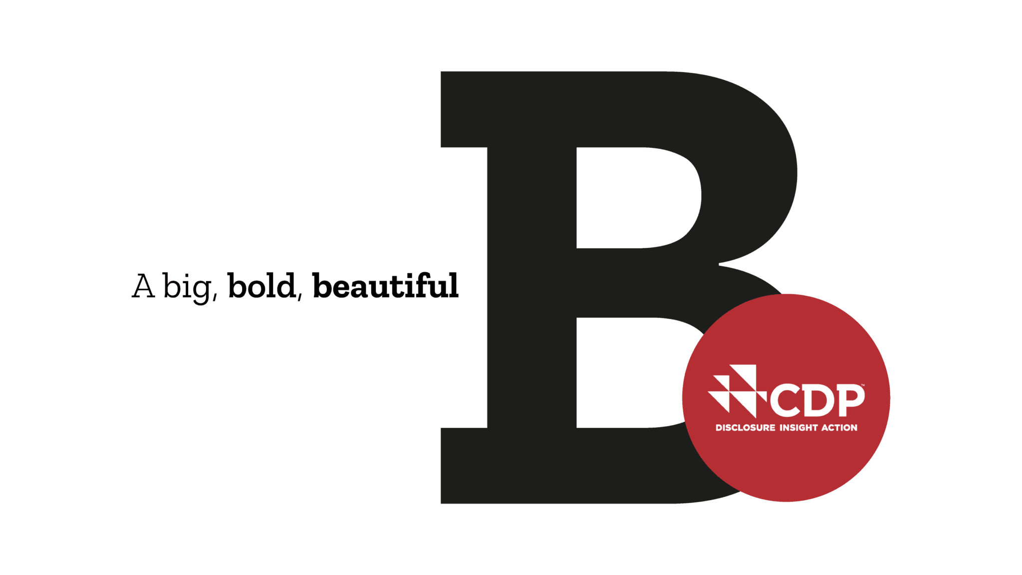 Hatenboer-water earned a B rating on their CDP disclosure, proving their sustainability commitment.