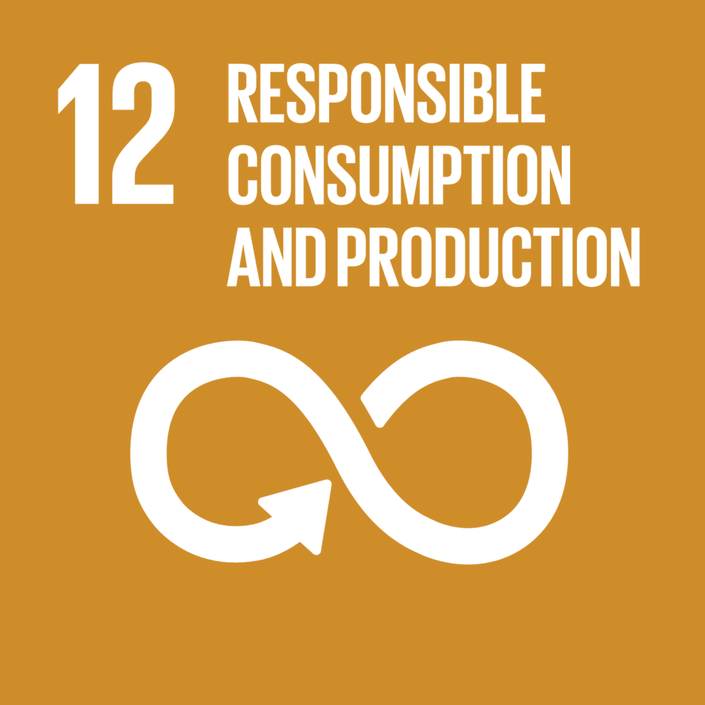 UN Sustainability Goal 12 - Responsible Consumption and Production